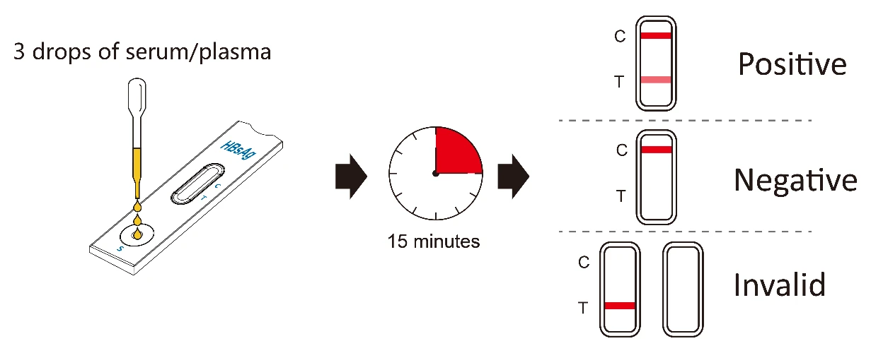 TEST PROCEDURE TEST PROCEDURE